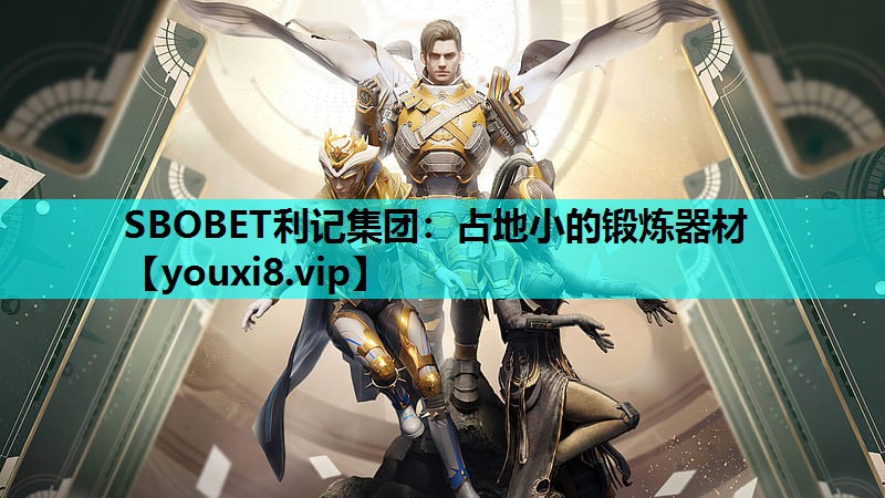 SBOBET利记集团：占地小的锻炼器材