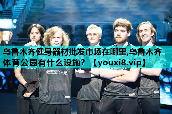 乌鲁木齐健身器材批发市场在哪里,乌鲁木齐体育公园有什么设施？