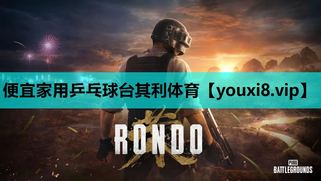 便宜家用乒乓球台其利体育