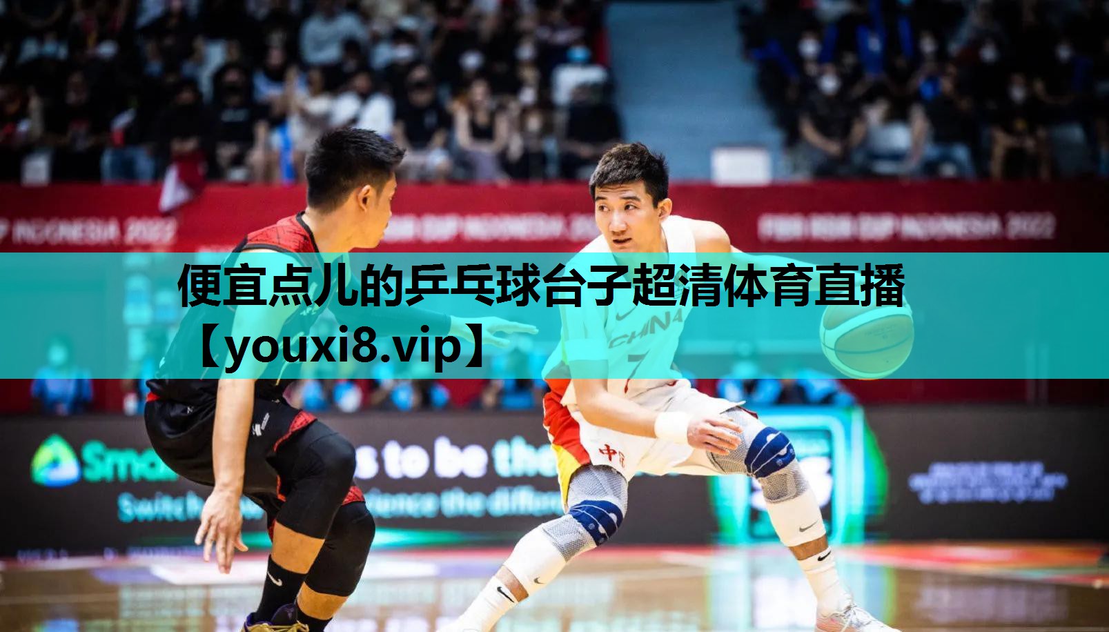 便宜点儿的乒乓球台子超清体育直播
