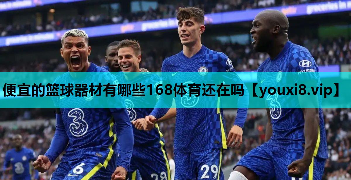便宜的篮球器材有哪些168体育还在吗
