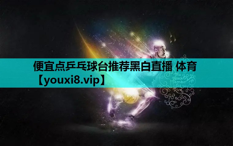 便宜点乒乓球台推荐黑白直播 体育