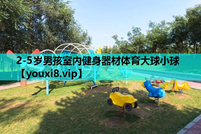 2-5岁男孩室内健身器材体育大球小球