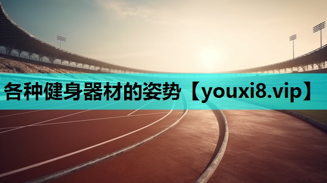 各种健身器材的姿势