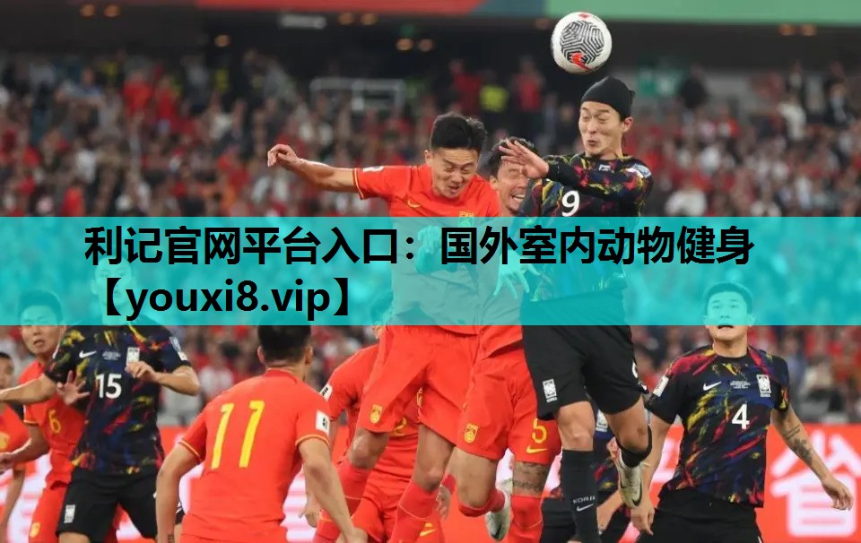 国外室内动物健身