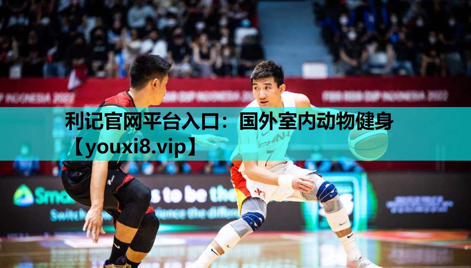 国外室内动物健身